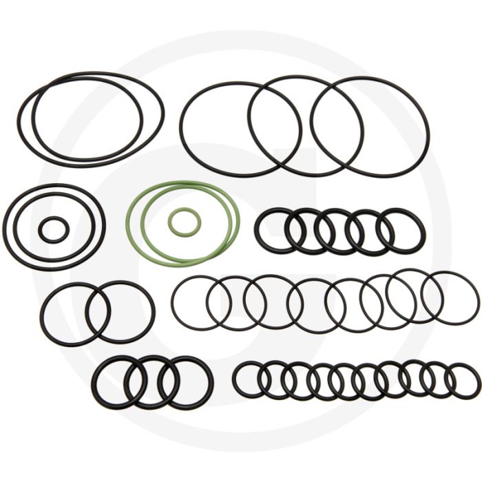 Annovi Reverberi O-ring set (vanaf serienr. 1822013001)