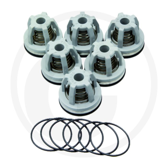 Annovi Reverberi Kleppenset (O-ring 670680070  klep 6702249050)