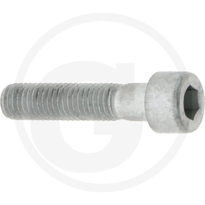 Comet Bout M10 x 45 mm - Referentienr. 00049-00398, 3609016100