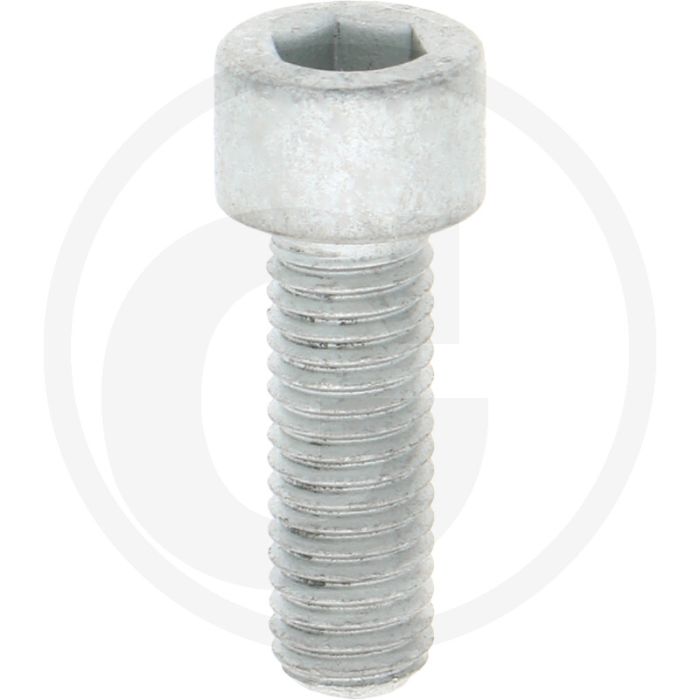 Comet Bout M10 x 30 mm (Aantal per pomp 2)