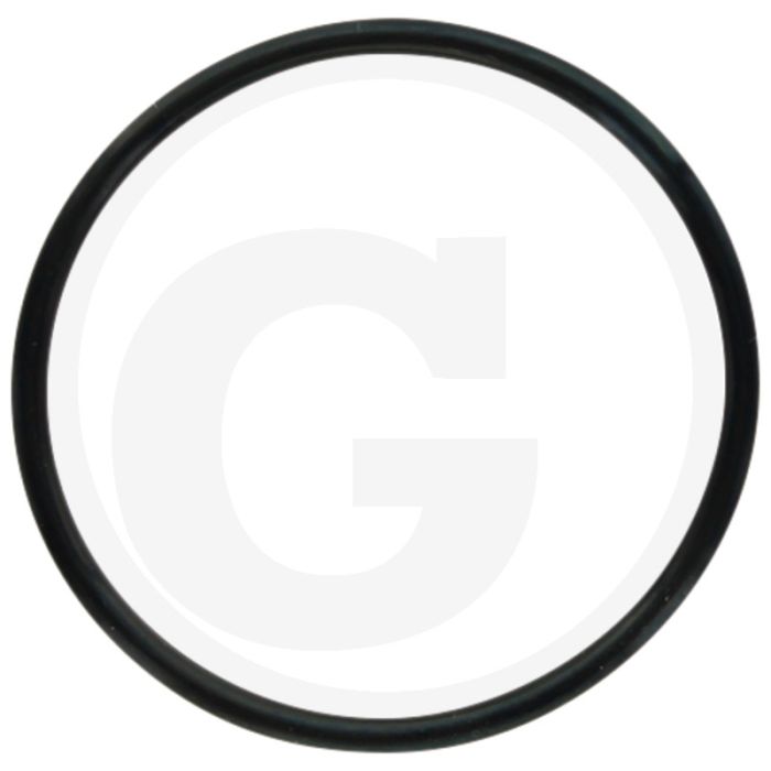 Comet O-ring Ø 2,62 x 44,12 mm