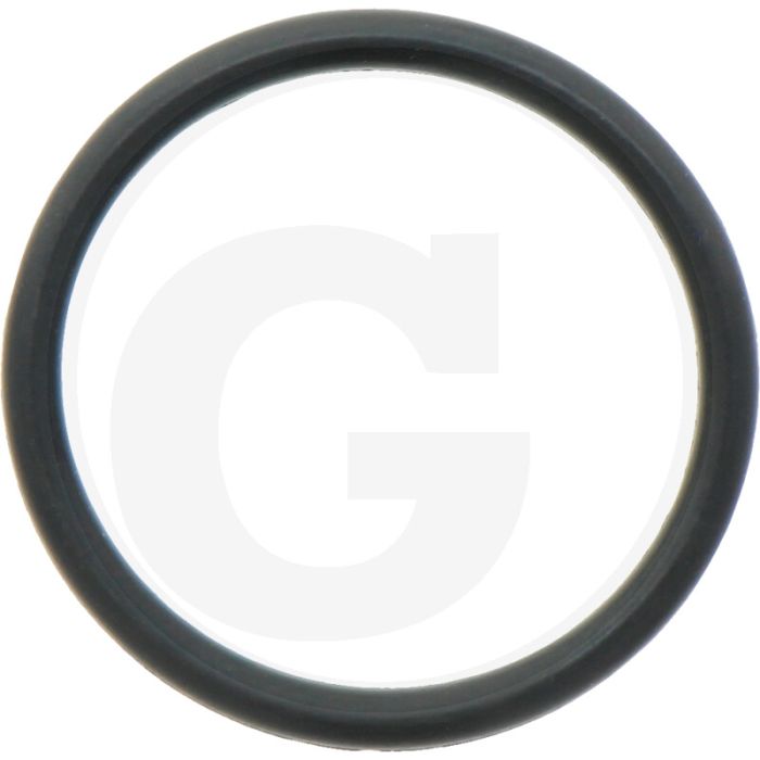 Comet O-ring Ø 2,5 x 25 mm - Aantal per pomp 1