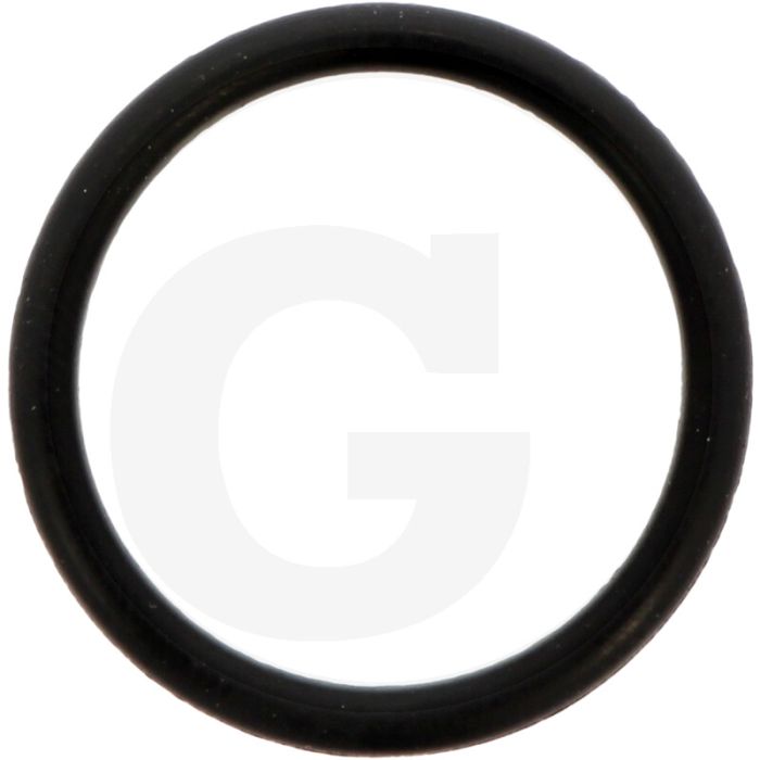 Comet O-ring Ø 2,62 x 22,22 mm