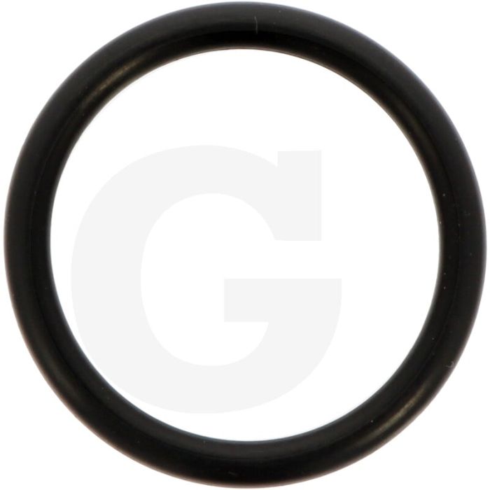 Comet O-ring Ø 2,62 x 20,7 mm - Aantal per pomp 2