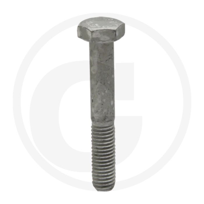 Comet Schroef M10 x 65 mm (Ref. 00049-00171)