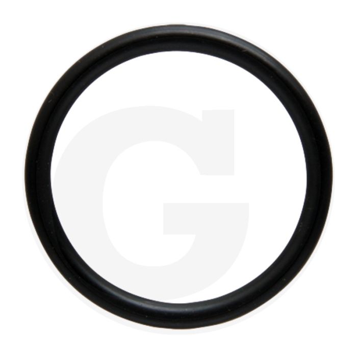 Comet O-ring Ø 38 x 4 mm, Ref. 00005-00545 - Voor BP 151 K en BP 171 K