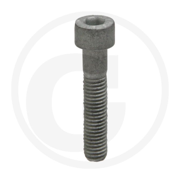 Comet Schroef M8 x 40 mm. Aantal per pomp 4.