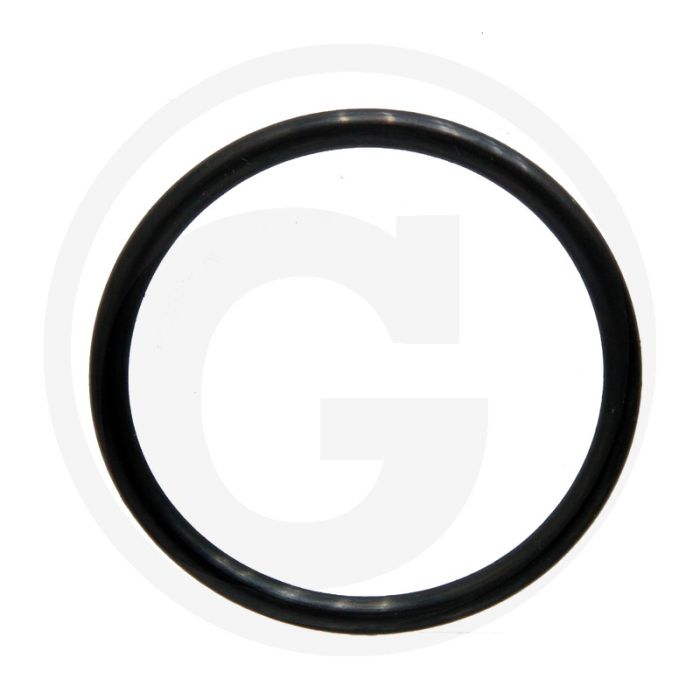 Comet O-ring Ø 36 x 3 mm - Aantal per pomp 8