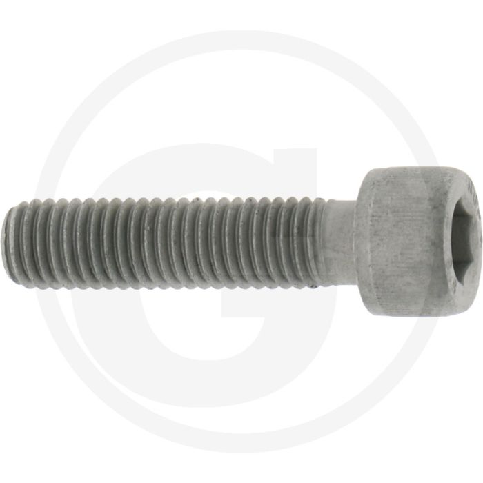 Comet Bout M10 x 40 mm, Aantal per pomp 4