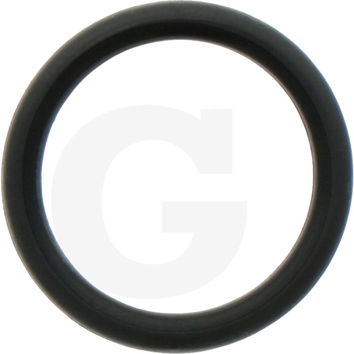 Comet O-ring Ø 2,62 x 17,13 mm