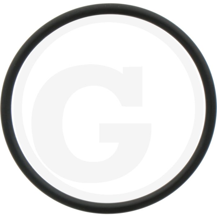 Comet O-ring Ø: 2,62 x 42,52 mm