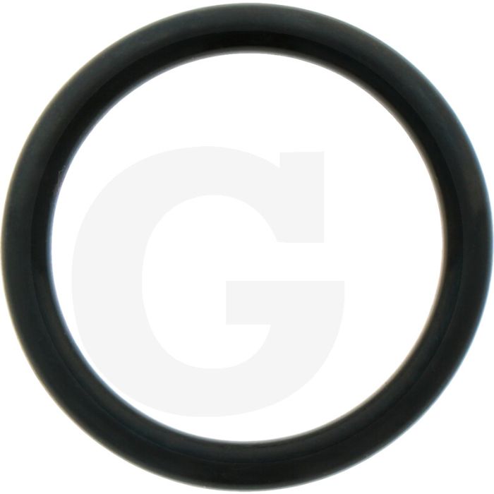 Comet O-ring Ø 3,53 x 25,8 mm - 6 stuks
