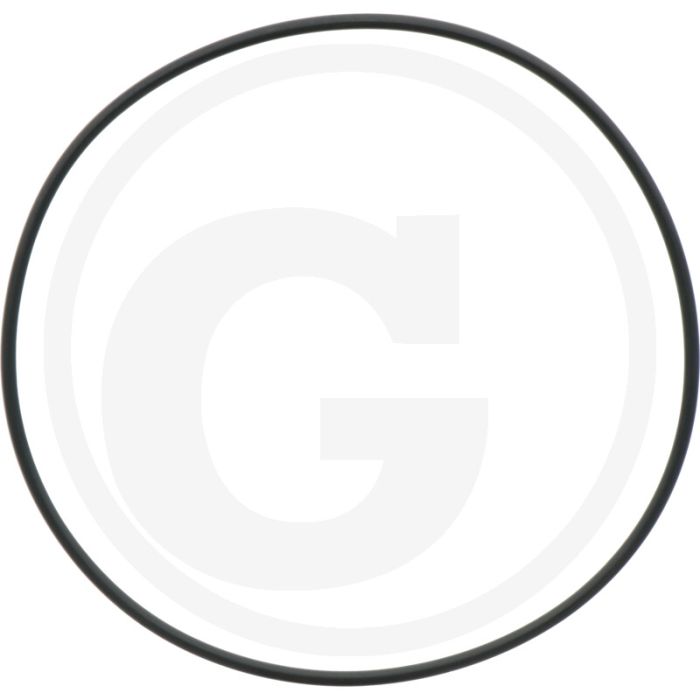 Comet O-ring Ø 3 x 120 mm - Ref. 00005-00919 - Aantal per pomp 3