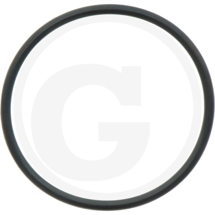 Comet O-ring Ø 2,62 x 45,69 mm