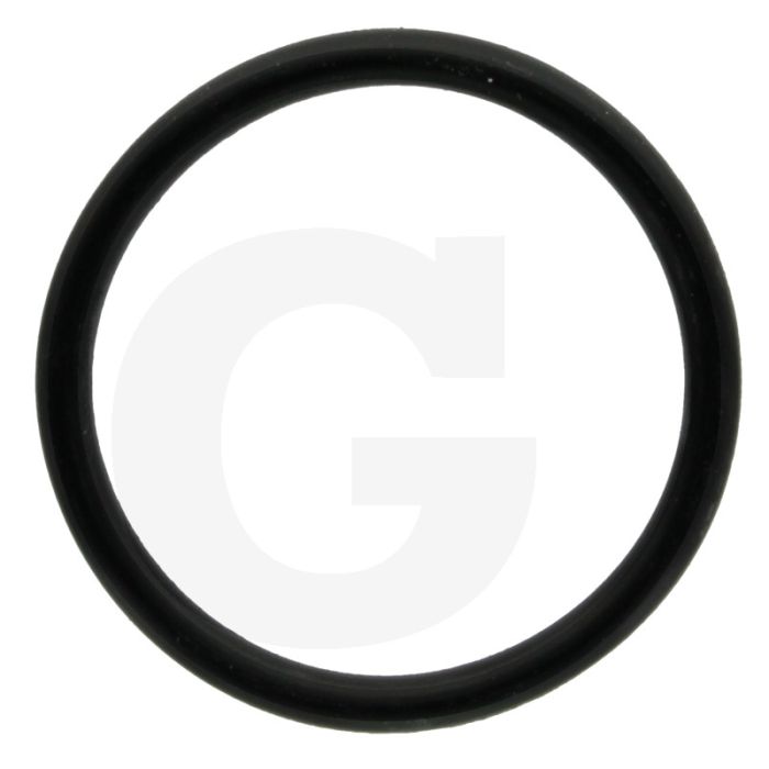 Comet O-ring Ø 3,53 x 36,1 mm