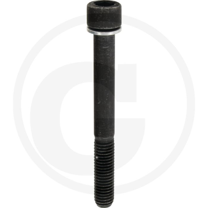 Battioni Pagani Nummerplaatbouten (DM221, M10 x 90)