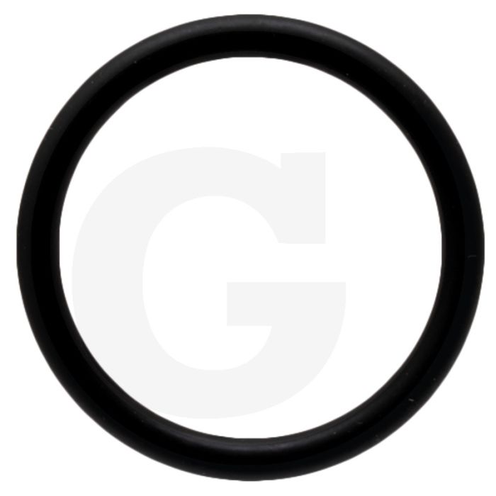 Battioni Pagani O-ring (passend voor BR EVO 70)