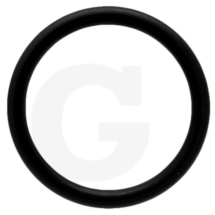 Battioni Pagani O-ring (passend voor BR EVO)