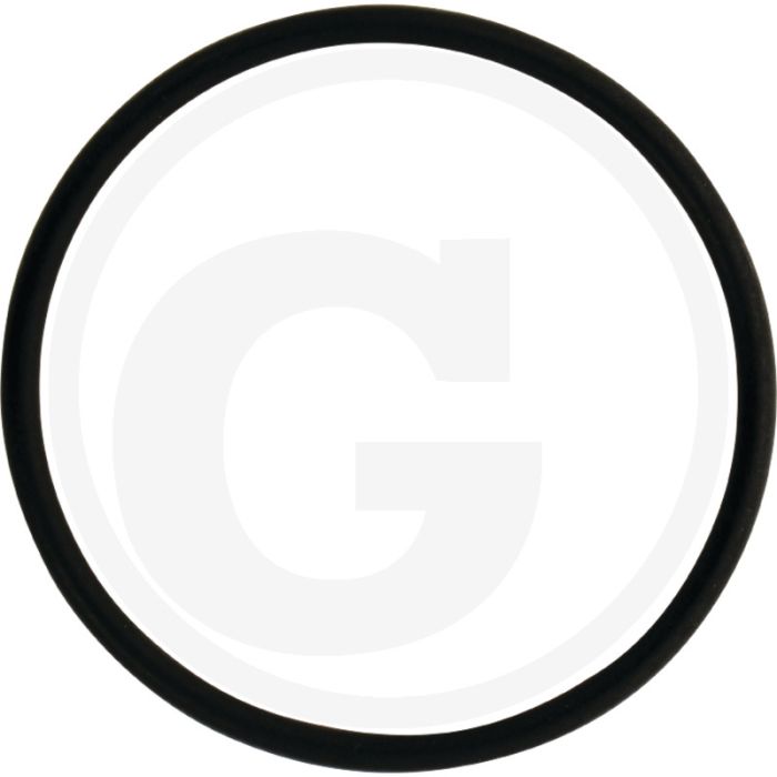 O-ring (voor opnamedeel, 67 x 4 mm)