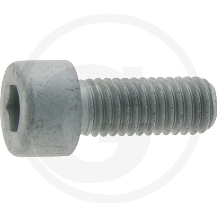 Eckart Cilindrische binnenzeskantbouten (voor E4000GLD  M8 x 29)