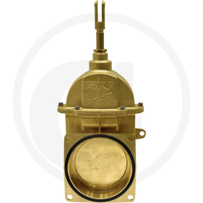 RIV Flens zuiger mestafsluiter Centurion 6" (RIV 30 Centurion)