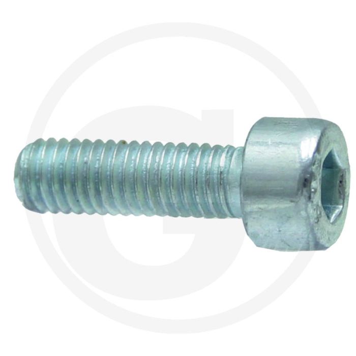 Cil. binnenzeskantb. RVS M10x25 DIN912 Ø10 L25 RH.