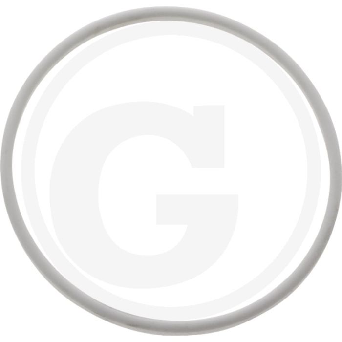 MZ Afdichtring 8" (GUNY0080200015)