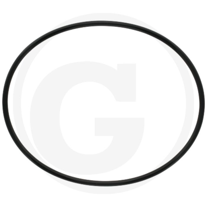 MZ O-ring Ø 215,3 x 6,99 mm voor 8" (Afb. nr. 6)