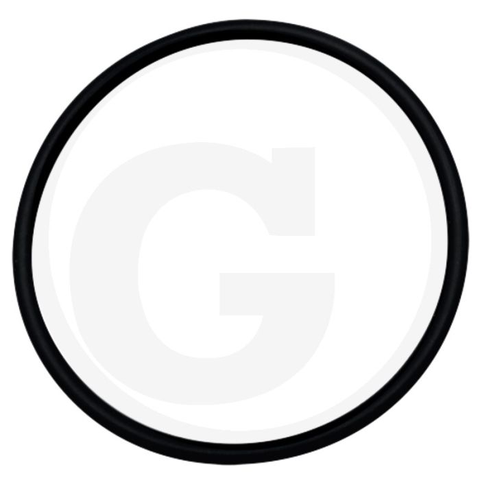 O-ring (47 x 2,5 mm) O-ring (47 x 2,5 mm)