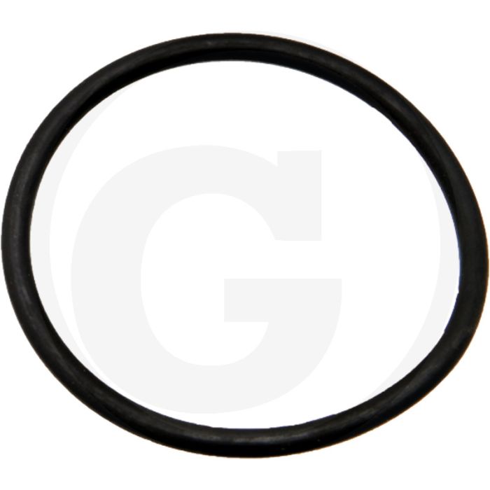 O-ring (Ø: 51 x 3,5 mm)