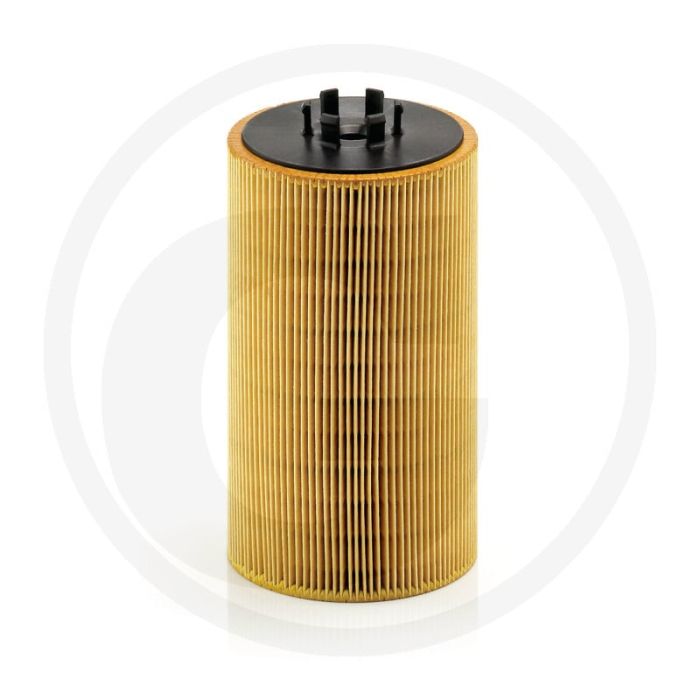 MANN FILTER Oliefilter MAN E2876 (LF17056)