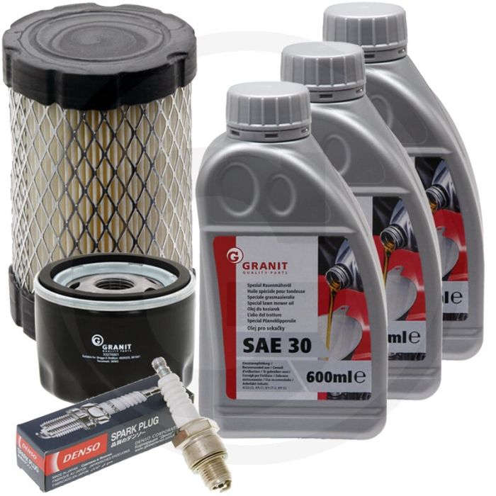 Onderhoudskit voor Briggs & Stratton Model 31R