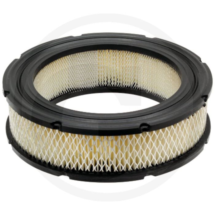 Luchtfilter Briggs & Stratton 195x140mm - Shop-artikel