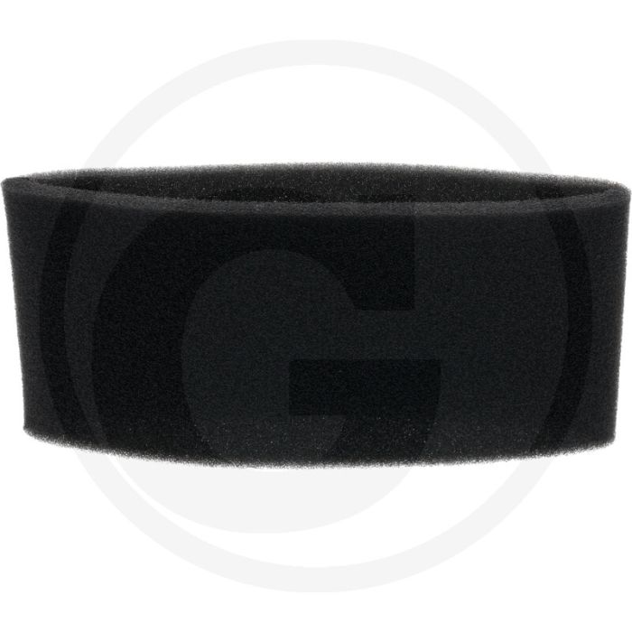 Vorfilter Briggs & Stratton 100800