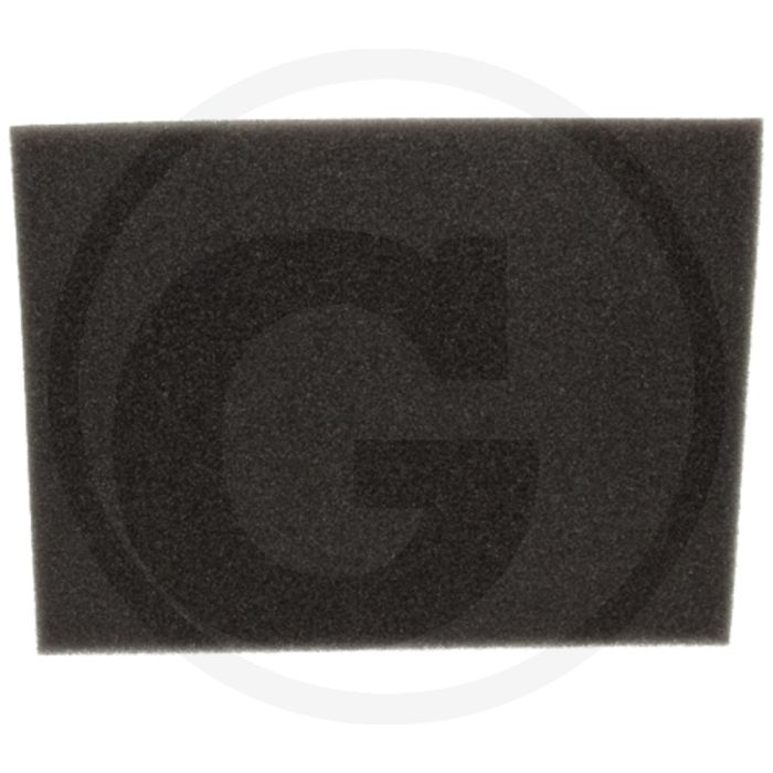 Voorfilter (voor luchtfilter 33270894)