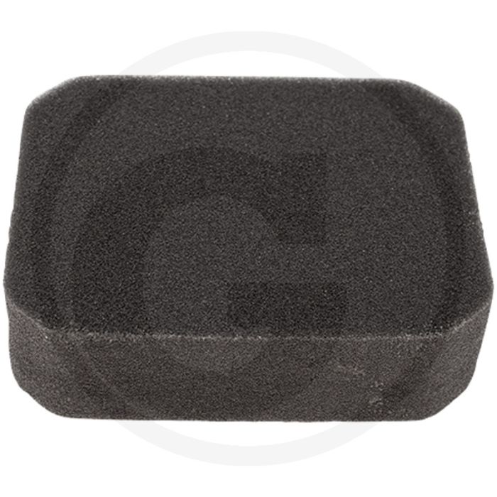 Luchtfilter EX 27 140x111x38 mm - Robin