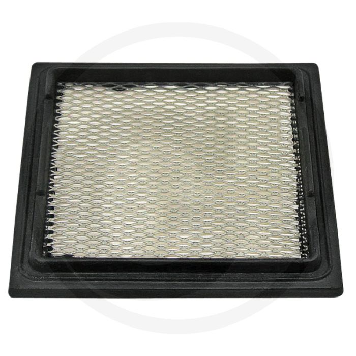 Luchtfilter Tecumseh OV 691, TVT 69, VTX 691 185x175x32 mm