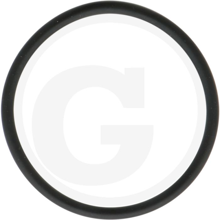 Loncin Afdichting (voor oliepomp)
