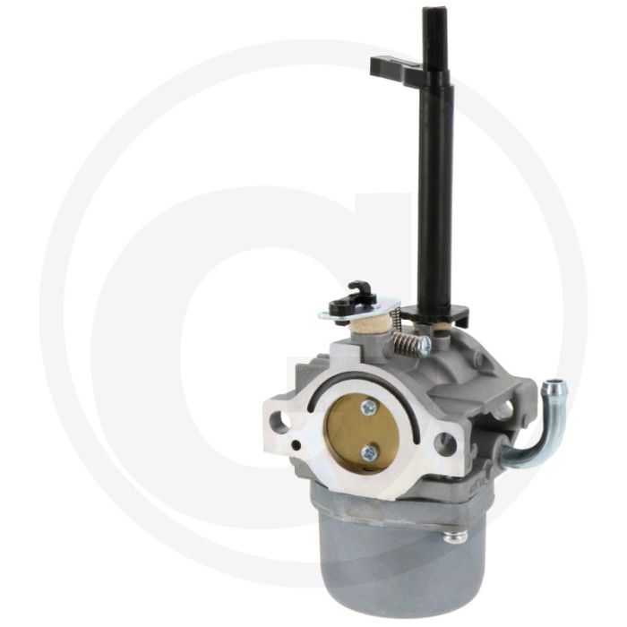 Vergaser Briggs & Stratton 19L200 - 217300