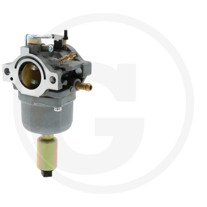 Vergaser Briggs & Stratton 31P900