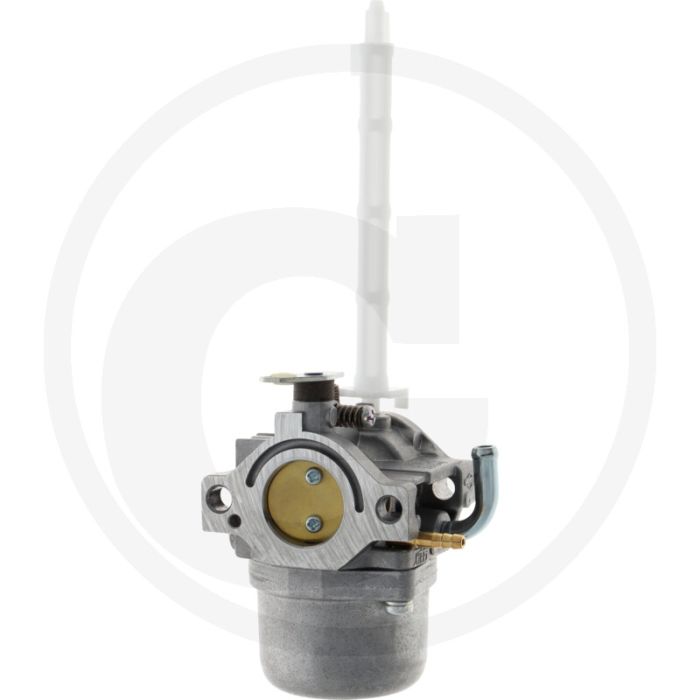 Briggs & Stratton Carburateur 20M100-21P200