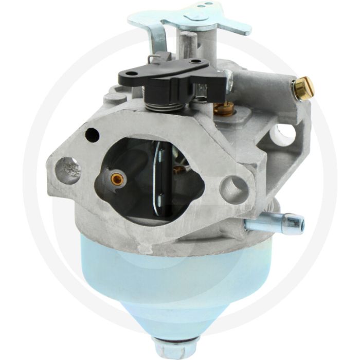 Vergaser GCV 190 LA