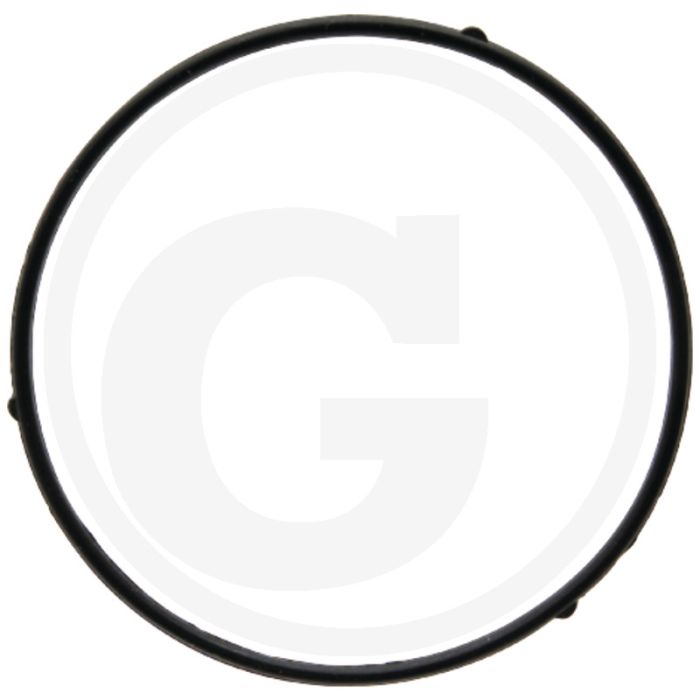 Loncin Vlotterhuisafdichting - Buiten-Ø: 52mm, Binnen-Ø: 48mm
