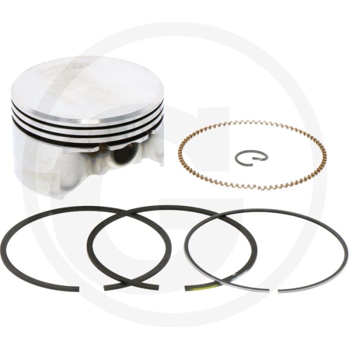 Briggs & Stratton Zuiger - Type: 100600, 100800, 101600