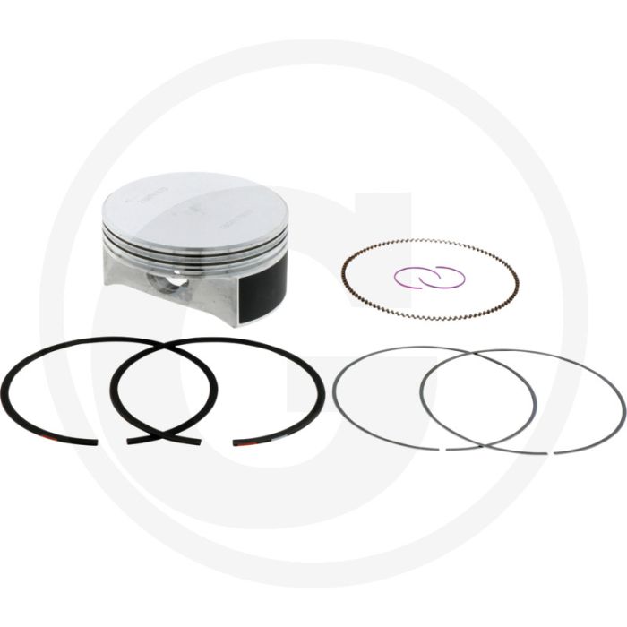 Briggs & Stratton Zuiger - Type: 31A700, 31E800, 31M700, 31P900, 31R600
