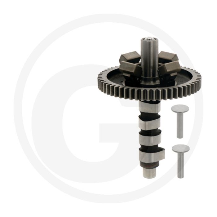 Briggs & Stratton Nokkenas Type 290400 - 359700