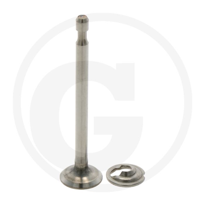 Briggs & Stratton Uitlaatklep - Type: 060100