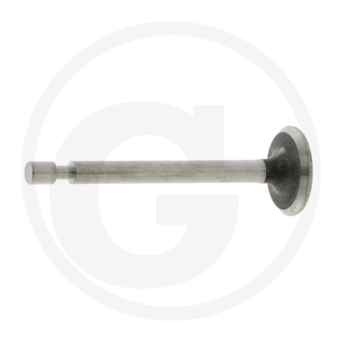 Briggs & Stratton INLAATKLEP Type: 090602, 100602...