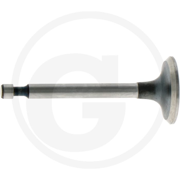 Einlaßventil Honda GX160 Einlaßventil Honda GX160