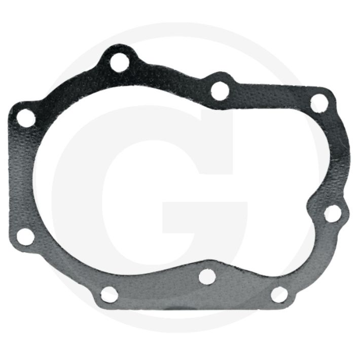 Cilinderkoppakking Briggs & Stratton 460700